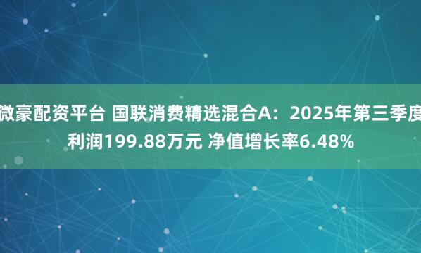 微豪配资平台 国联消费精选混合A：2025年第三季度利润199.88万元 净值增长率6.48%