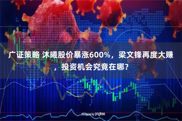 广证策略 沐曦股价暴涨600%，梁文锋再度大赚，投资机会究竟在哪？